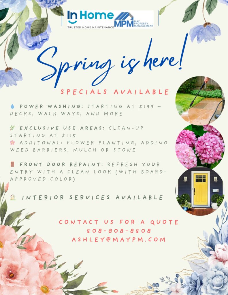 Blue And Pink Floral Spring Celebration Flyer (2)